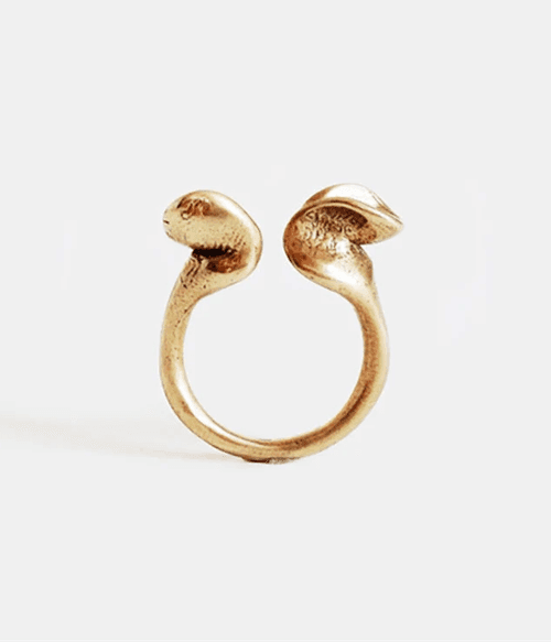 Image of Troy Ring